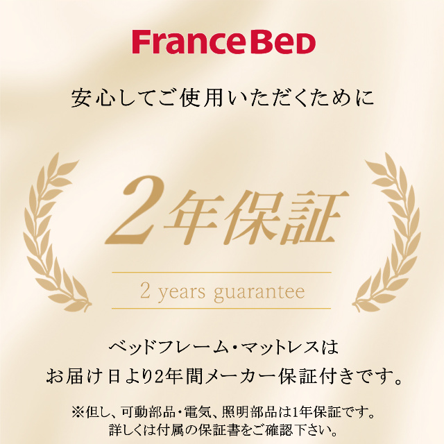 フランスベッド（FRANCEBED） JM-101S シングルサイズ 二段ベッドハイ