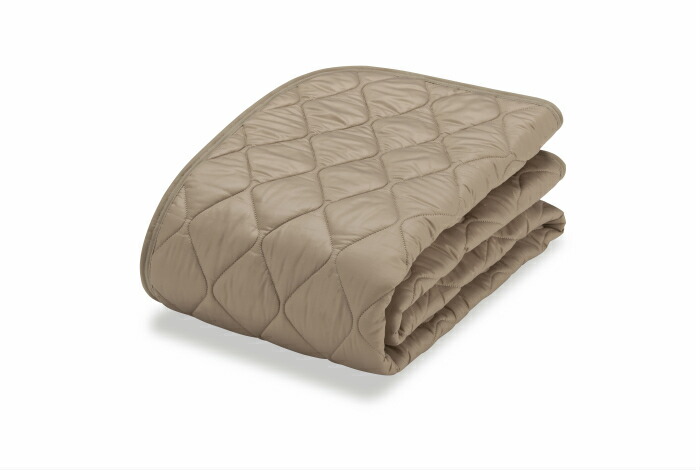 フランスベッド（FRANCEBED） お得な2枚セット オールシーズン対応