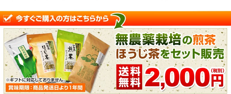 無農薬栽培の煎茶・ほうじ茶をセット販売　送料無料２０００円