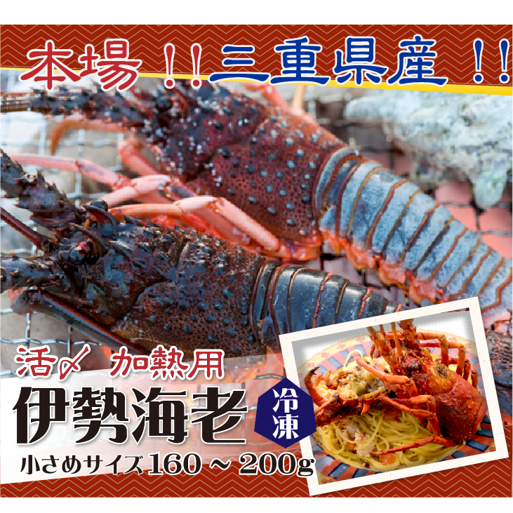 本場!!三重県産!!伊勢海老 冷凍加熱用