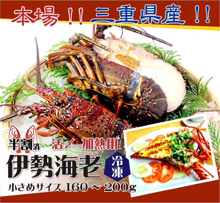 本場!!三重県産!!伊勢海老 冷凍加熱用