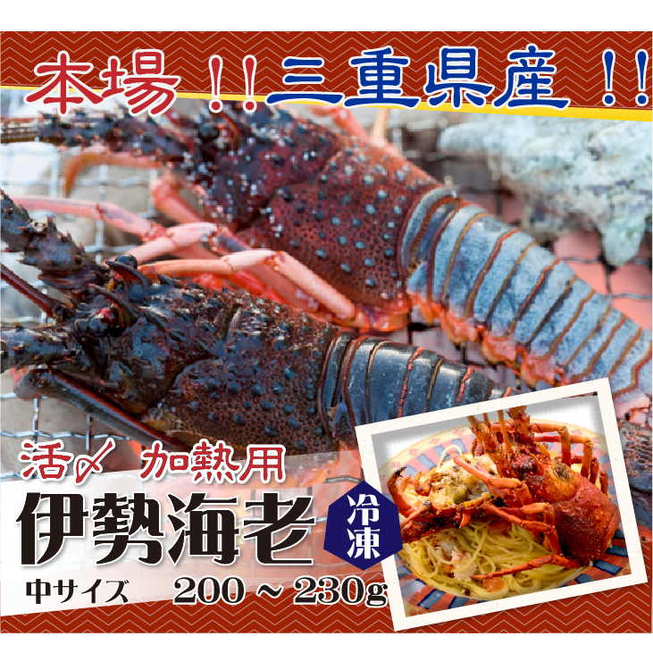本場!!三重県産!!伊勢海老 冷凍加熱用