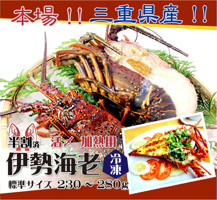 本場!!三重県産!!伊勢海老 冷凍加熱用