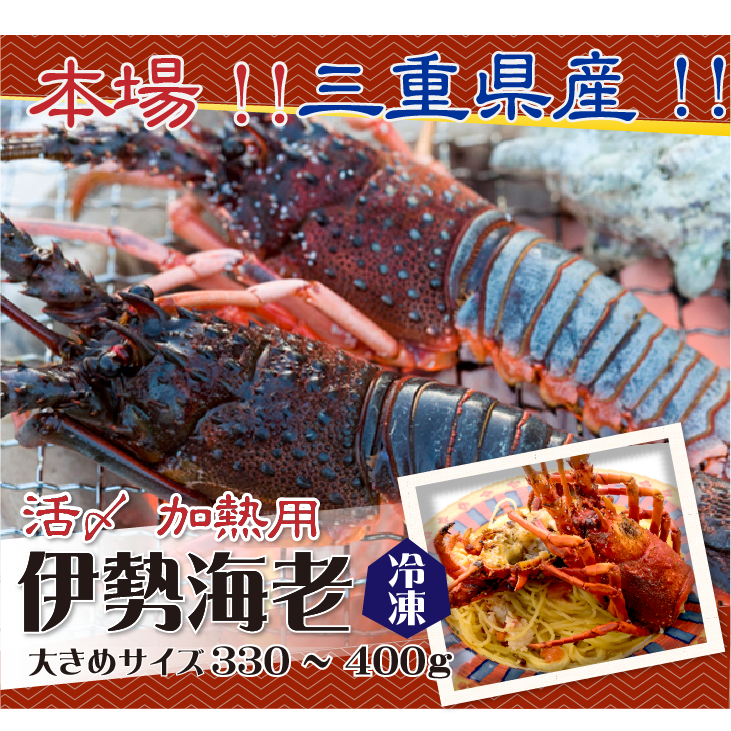 本場!!三重県産!!伊勢海老 冷凍加熱用