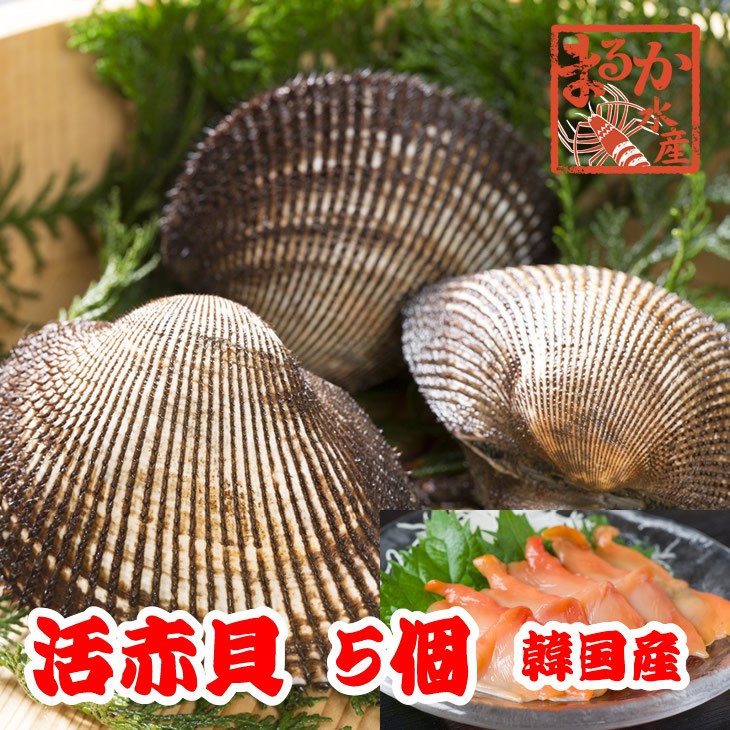赤貝 ５個 中大サイズ 500ｇ以上 活貝 [赤貝] :akagai-1-05:まるか水産Yahoo!店 - 通販 - Yahoo!ショッピング