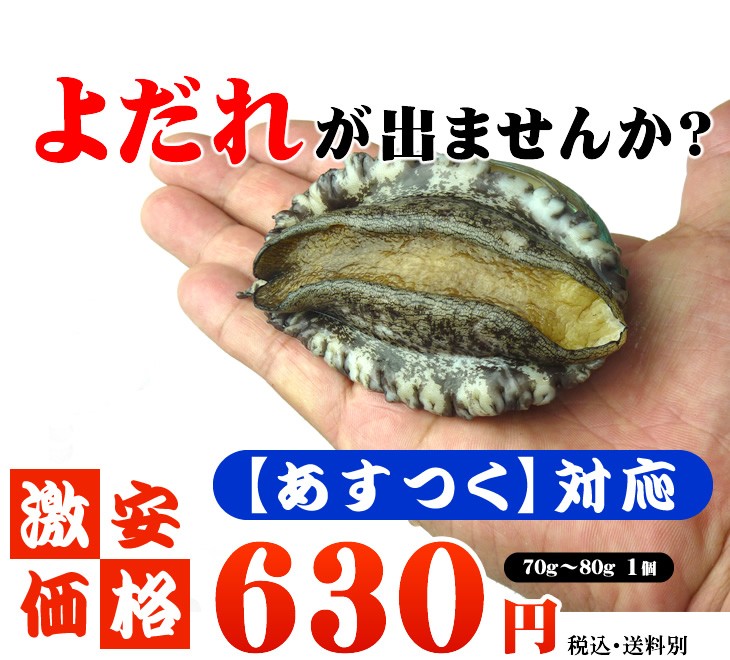 50%OFF!】 活き活き蝦夷アワビ 70ｇ〜80ｇ 1個 あわび ifmbtp.ma