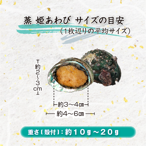 商品サイズ