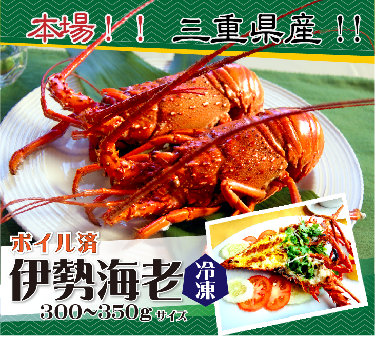本場 三重県産!! ボイル済 冷凍 伊勢海老300〜350g