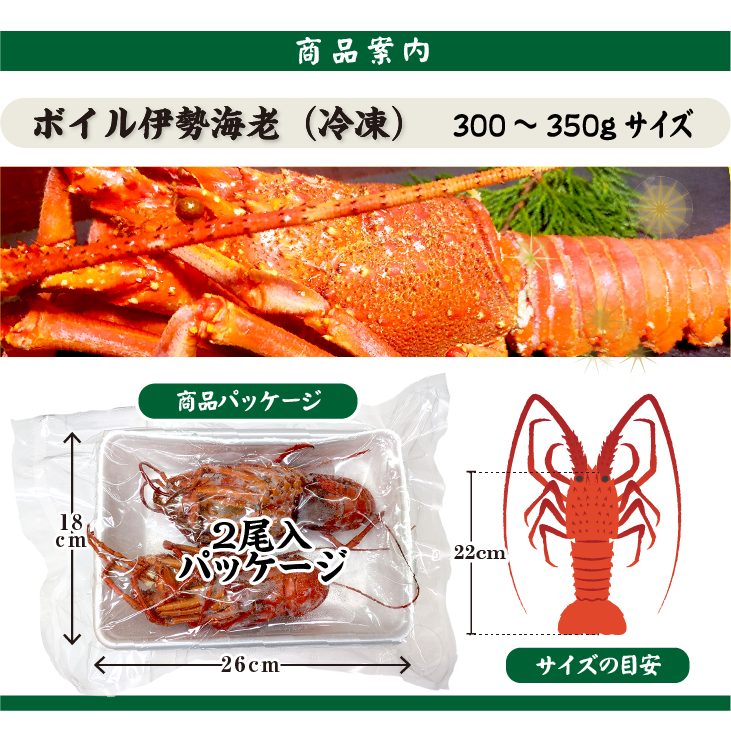 ボイル伊勢海老(冷凍)商品案内