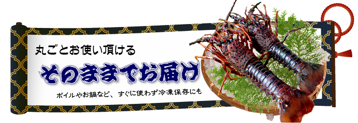 そのまま発送。