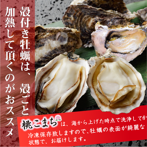 殻付き牡蠣「桃こまち」焼き牡蠣