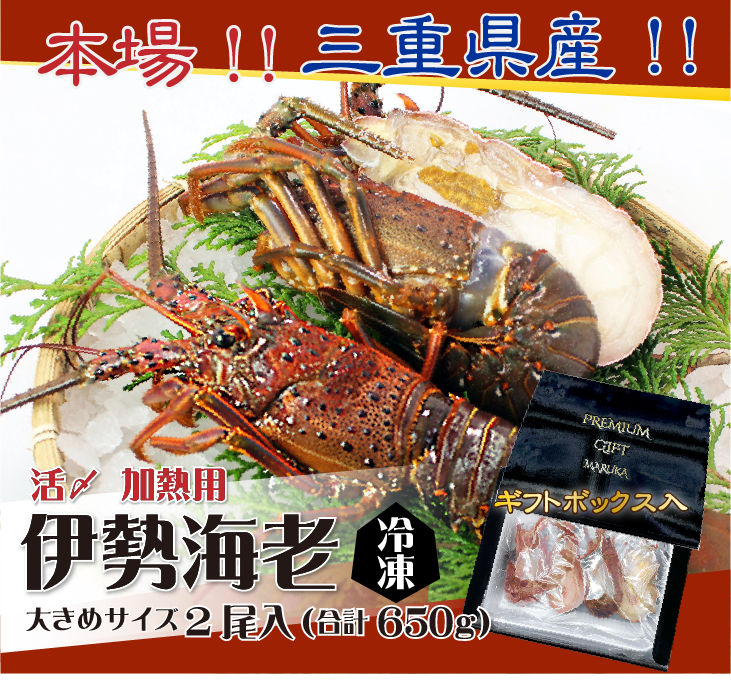 ★奄美産★　活〆冷凍伊勢海老2キロ 楽天市場】活〆伊勢海老（冷凍加熱用）標準サイズ 2尾入 500g