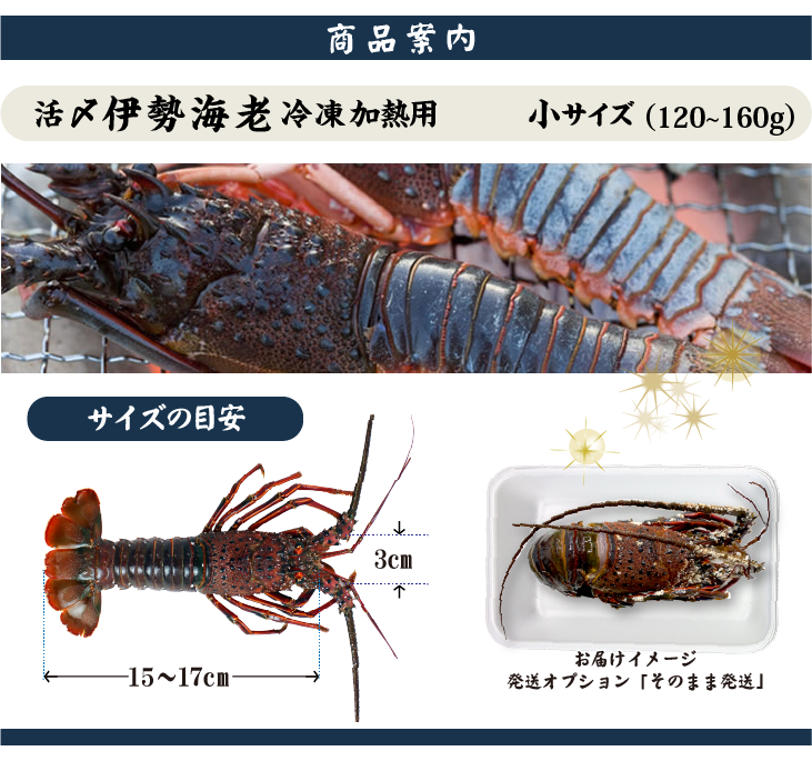 冷凍加熱用伊勢海老 商品案内