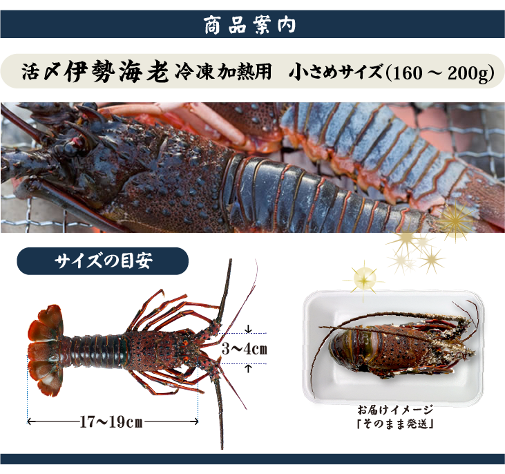 冷凍加熱用伊勢海老 商品案内