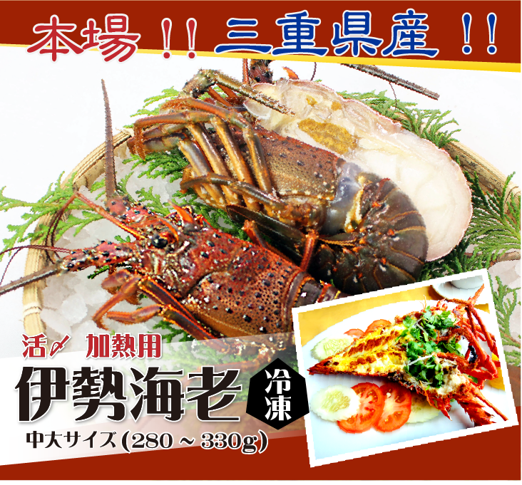 本場!!三重県産!!伊勢海老 冷凍加熱用
