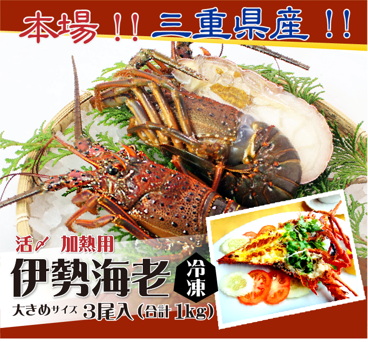 本場!!三重県産!!伊勢海老 冷凍加熱用