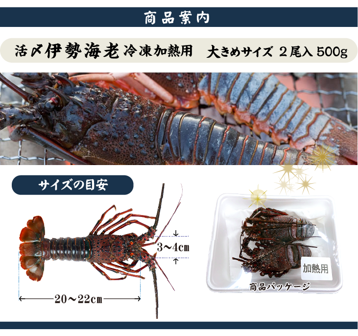 冷凍加熱用伊勢海老 商品案内