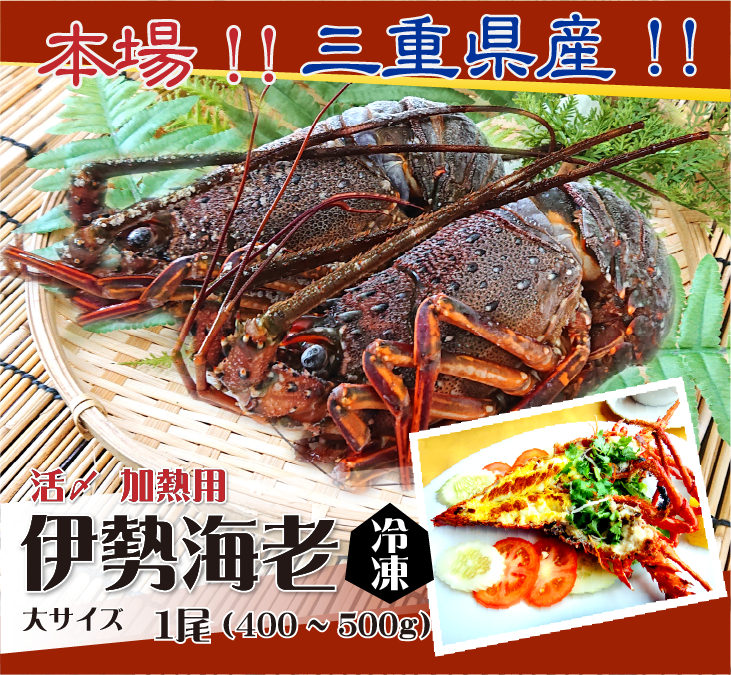 伊勢海老 活〆冷凍（加熱用）大 400〜500g 1尾 [伊勢海老] : bbq-001-8