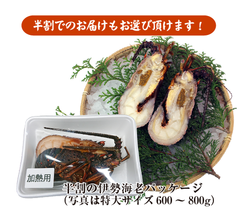 活〆伊勢海老（冷凍加熱用）大サイズ1尾 400〜500g 送料無料[冷凍伊勢海老] : bbq-001-8 : まるか水産Yahoo!店 - 通販 -  Yahoo!ショッピング