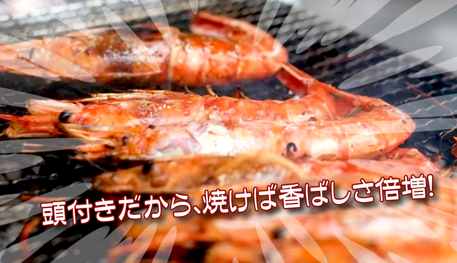 頭付きだから、焼けば香ばしさ倍増！