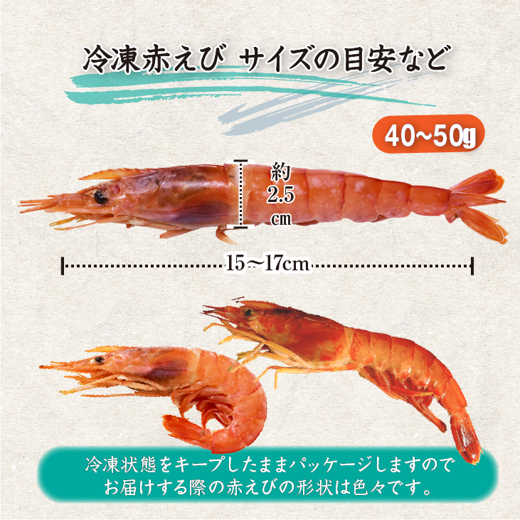有頭赤えび サイズの目安