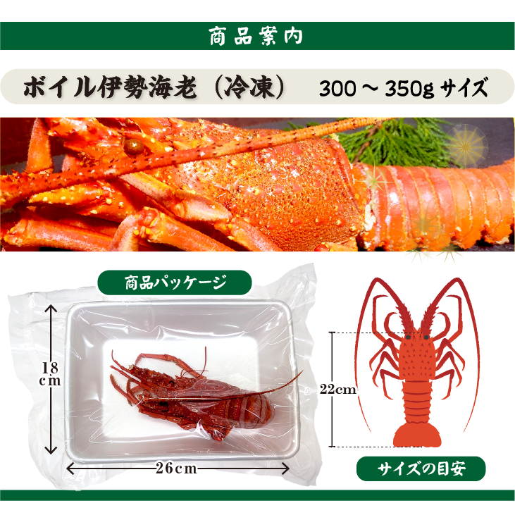 ボイル伊勢海老(冷凍)商品案内