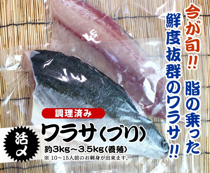 高い素材 活〆ワラサ ブリ 4kg 4 5ｋｇ 調理済 ワラサ 養殖 数量限定 Tuintijdschrift Com