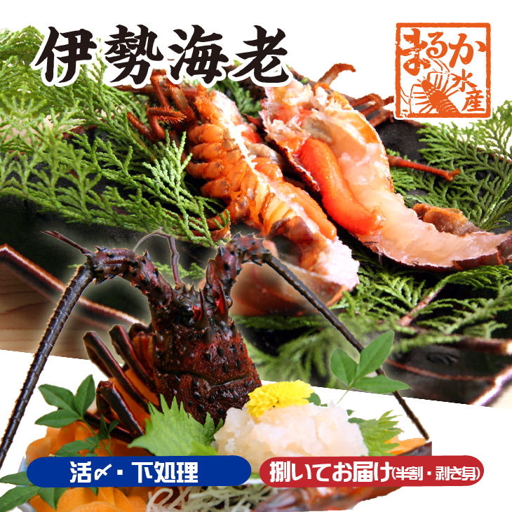 捌いてお届け 伊勢海老カテゴリ