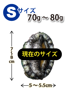 Sサイズ70〜80g