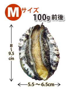 Mサイズ100g