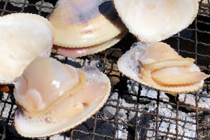 焼きはまぐり