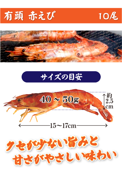 有頭赤えび×10尾