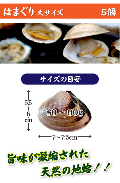 はまぐり 大サイズ 5個