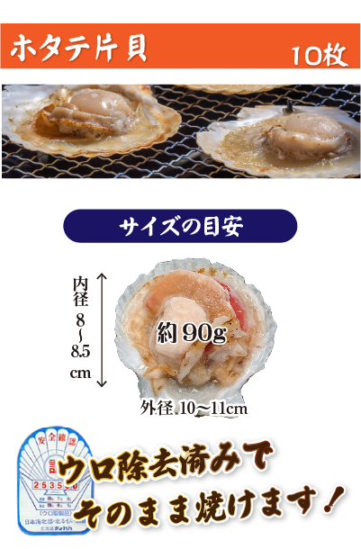 ホタテ片貝 10枚
