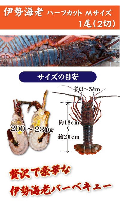 冷凍伊勢海老 ハーフカットMサイズ×1尾（2切）