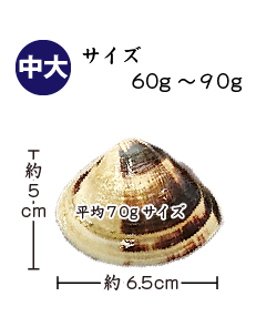 100〜150サイズ（6〜10個）12〜20切入