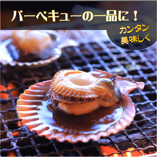 アウトドアのお供に