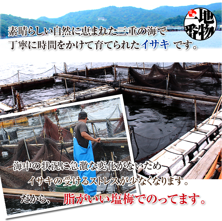 素晴らしい自然に恵まれた三重の海で、丁寧に時間をかけて育てられたイサキです。