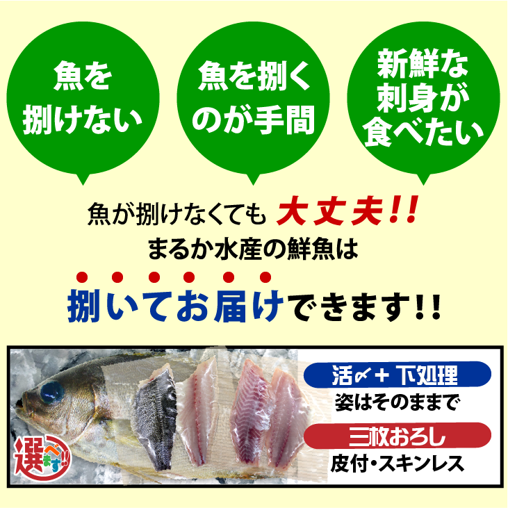 魚を捌けなくても、まるか水産では、捌いてお届けできます。