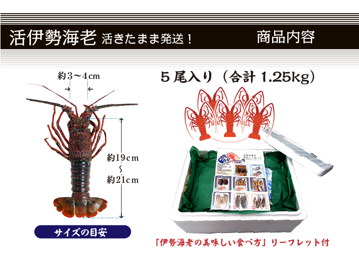 活きたまま発送 伊勢海老　商品内容