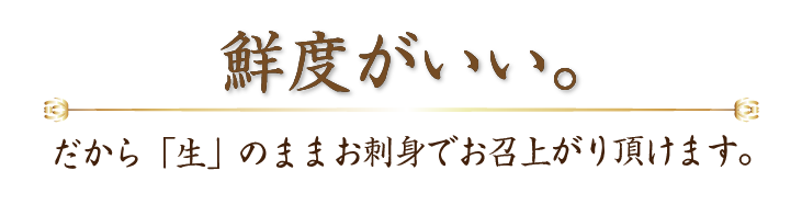 鮮度がいい。だから「生」のまま、お刺身で召し上がって頂けます。