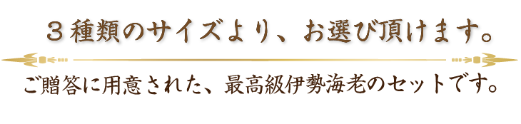 高級 天然国産 伊勢海老 3種類のサイズよりお選び頂けます。