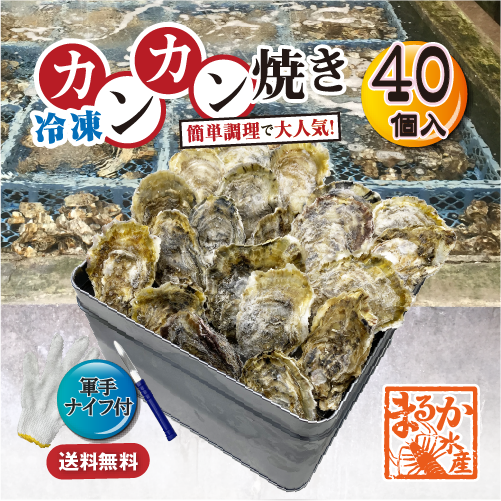 【冷凍・カンカン焼き】殻付きカンカン牡蠣／桃こまち40個（ナイフ・軍手付）