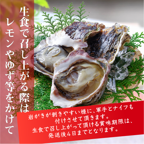 紫外線殺菌海水 浄化済み