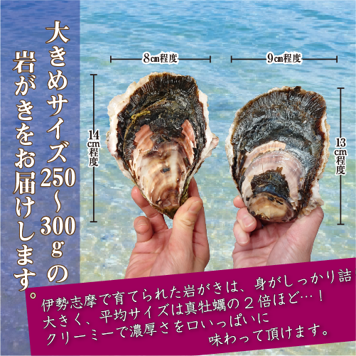 岩がきのサイズ