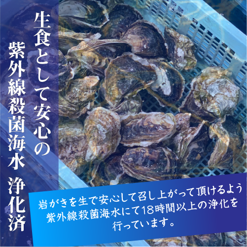紫外線殺菌海水 浄化済み