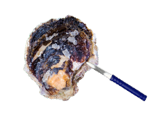 紫生食でお召上がり
