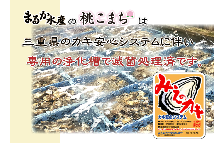 三重県のカキ安心システムを用いた、専用の浄化槽にて、滅菌洗浄してから、冷凍保存した牡蠣をお届けします