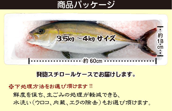 カンパチ約3.5kg〜2kg 商品パッケージ。オプションで、鮮度を保つのと、生ごみの処理が軽減する、「水洗い（ウロコ、内臓、エラの除去）」もお選びいただけます。