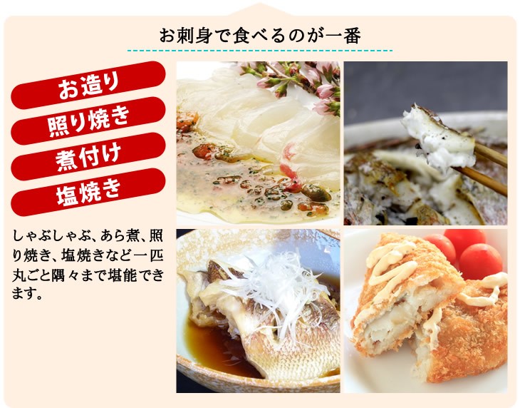 まずは、お刺身でお召上がりください。他にもしゃぶしゃぶ、あら煮、照り焼き、塩焼きなど、ご堪能頂けます。